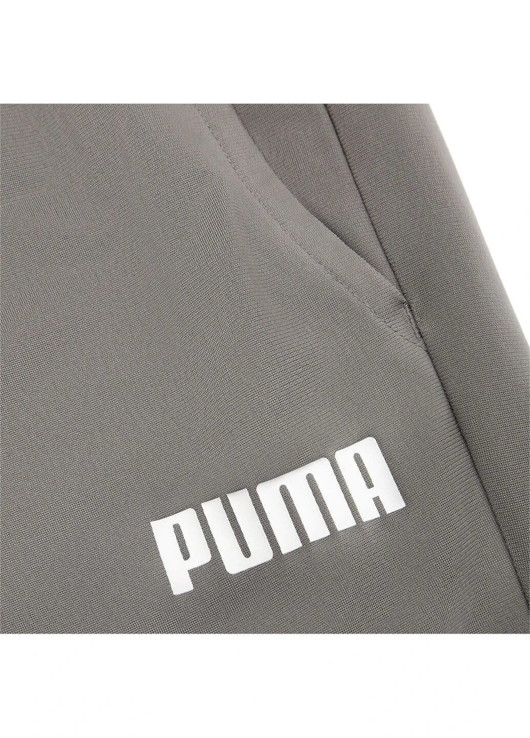Серые спортивные демисезонные брюки Puma