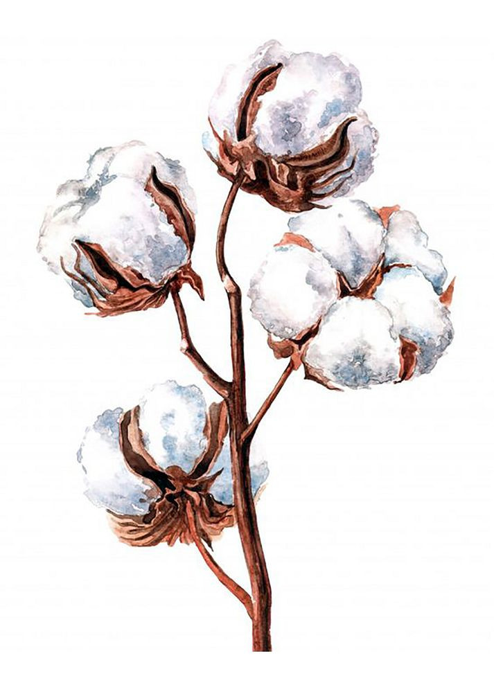 Набор алмазной вышивки "Хлопок2" Чарівний діамант (301279016)