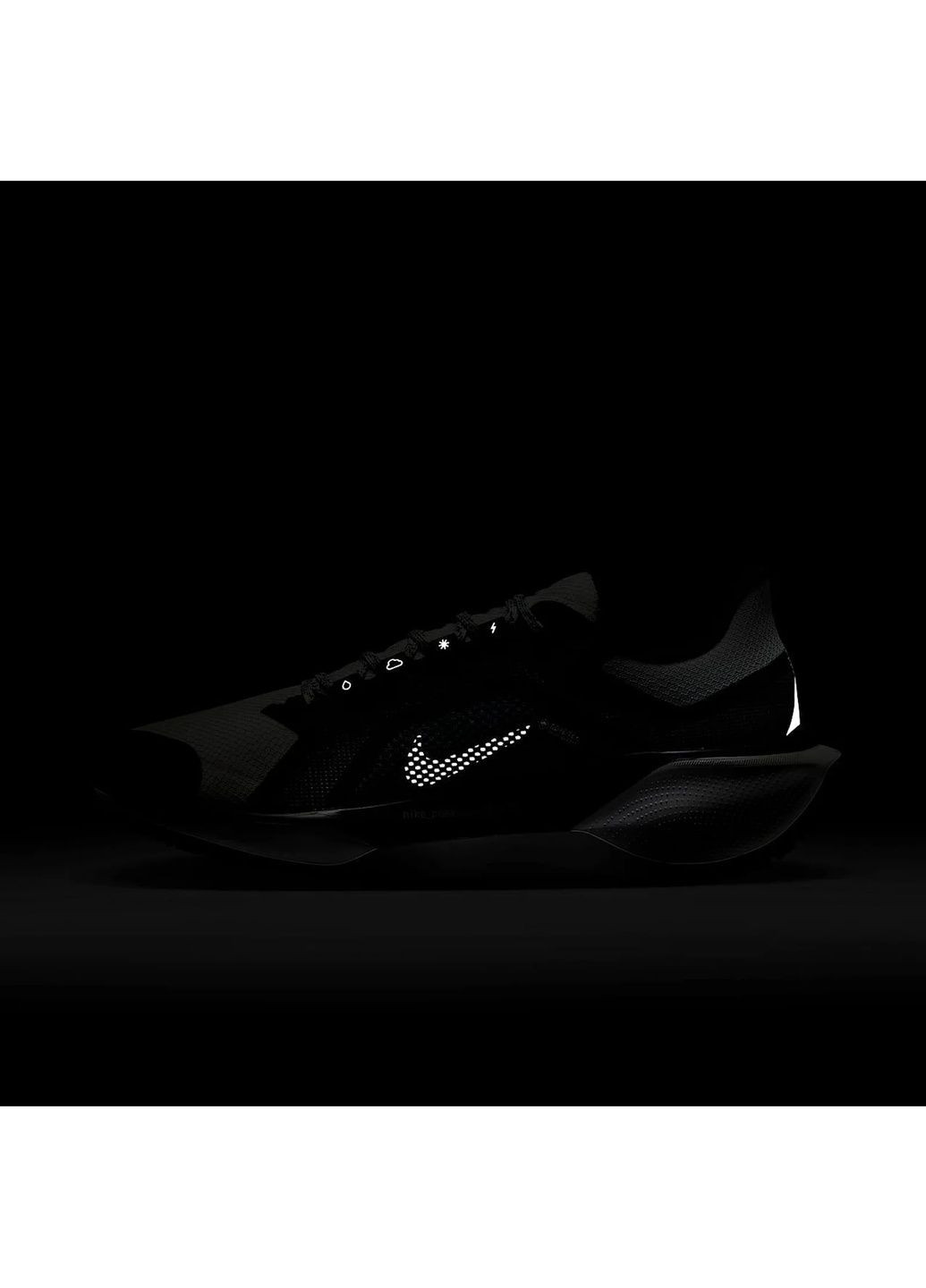 Кроссовки женские Pegasus Gore-Tex Black/Grey Nike чёрные (364836489)