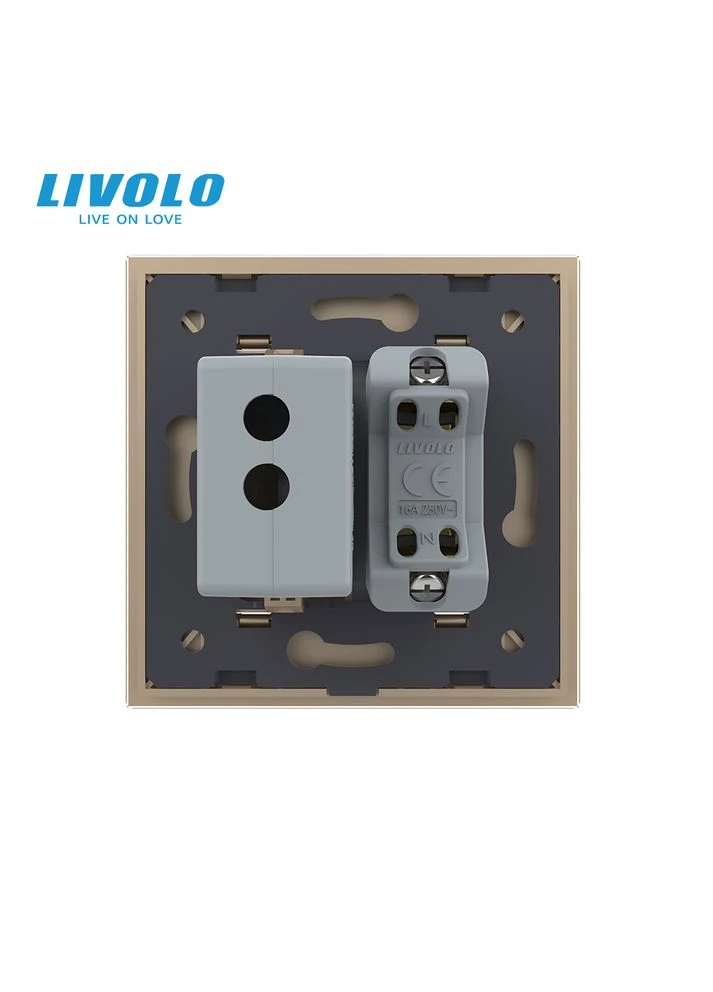 Розетка універсальна з USB розеткою золотий скло (VL-C7C1AUSB-13) Livolo (375457082)