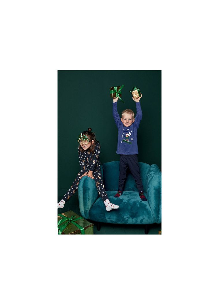 Синий демисезонный лонгслив Lupilu