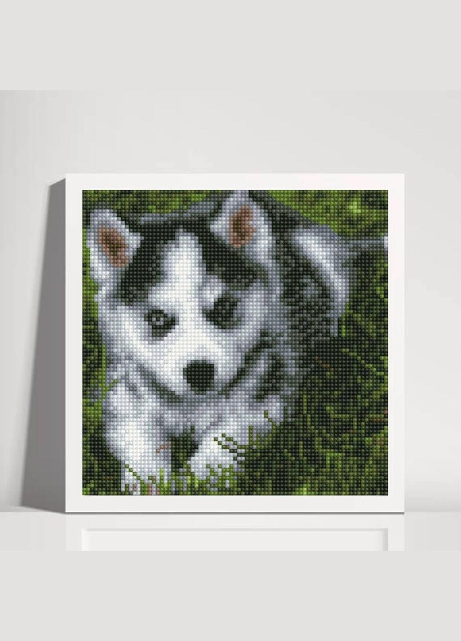 Алмазна вишивка Собачка DD1223 ColorArt (299772443)