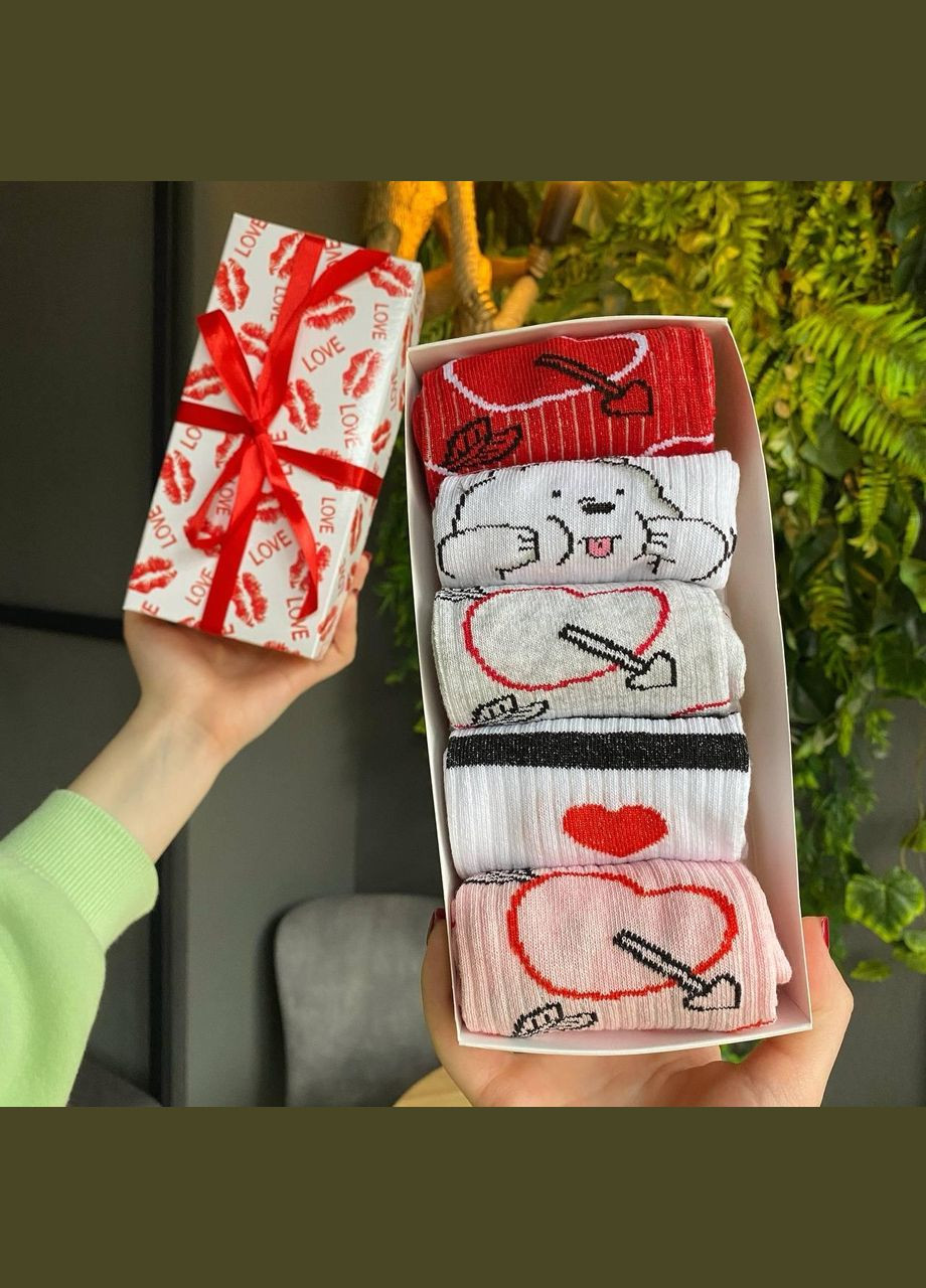 Комбіновані набір жіночих шкарпеток 36-41 5 пар у подарунковій коробці Vakko (308683613)