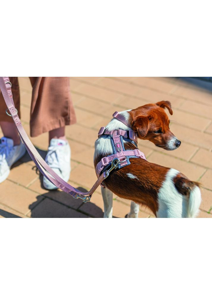 Шлей трекінговий для собак Premium S, 36-44 см, 15 мм, рожево-сірий Trixie (321970283)