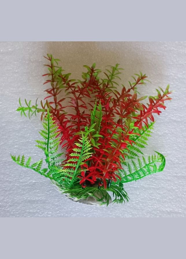 Рослина пластикова водорості TROPICAL PLANT3 штучна, Декорація для акваріума 1417см A8011193 Croci (292569185)
