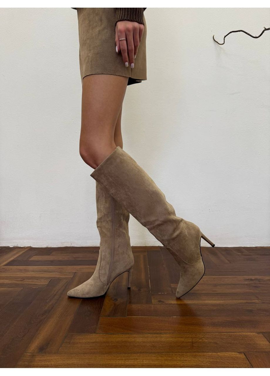 Чоботи труби демі No Brand (371916874)