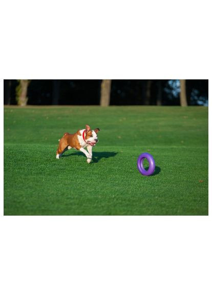 Іграшка для собак (6492) Puller Maxi 30 см (366523189)