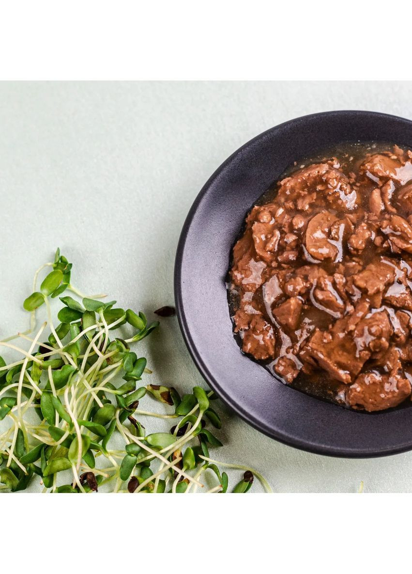 Влажный корм для котят с ягненком и тыквой в желе для котят 85 г Savory (364503783)