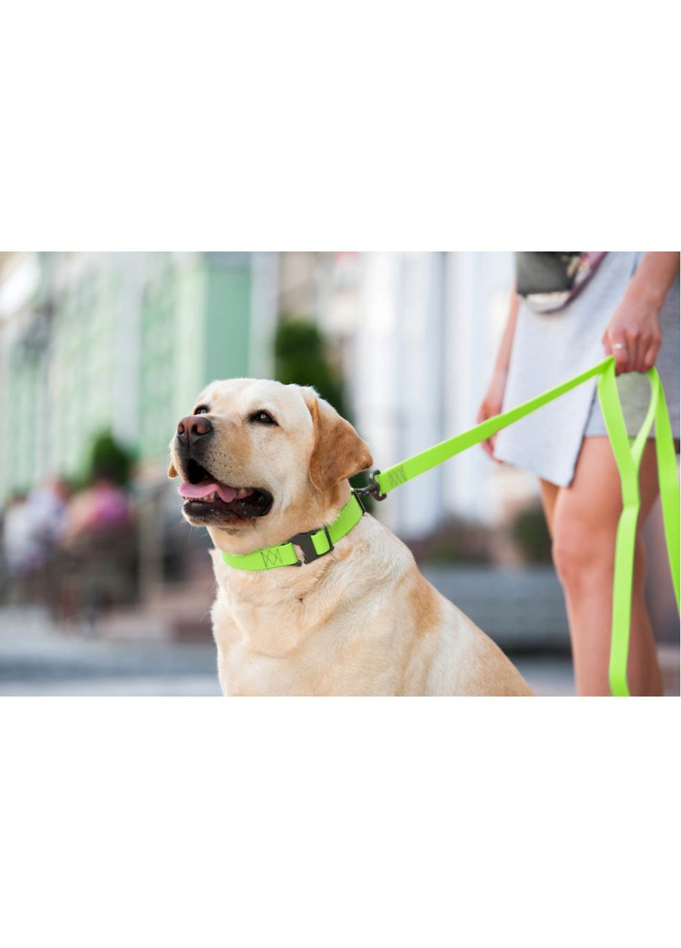 Поводок для собак водостойкий WAUDOG Waterproof Ширина 20мм Длина 183см Collar (362136131)