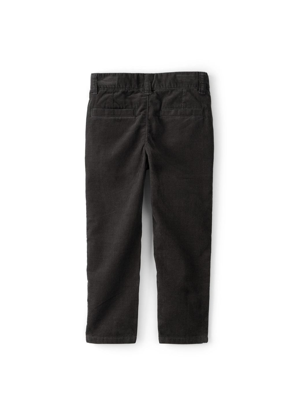 Штани для хлопчика 88-93 см (2T625810_2T) Carter's (368239804)