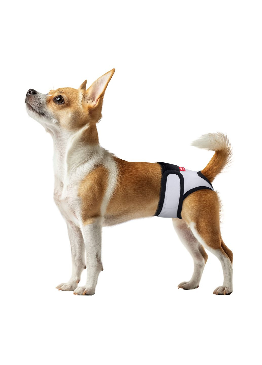 Труси гігієнічні XXS Vet Ваудог для собак та котів на липучках сірі A (22-30 см) B 7 см (4823089381657) WAUDOG (362700793)