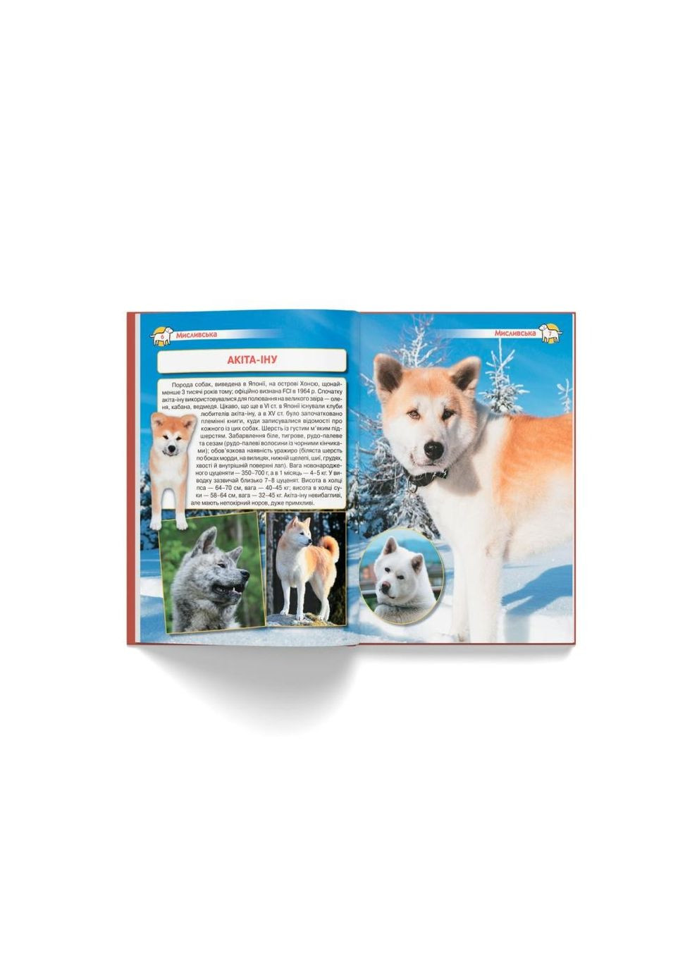 Книга "Енциклопедія. Собаки" Home (323201959)