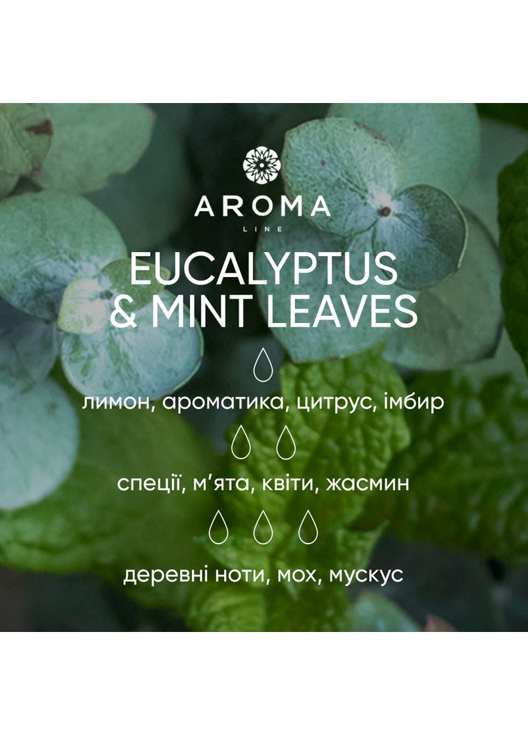 Аромат/отдушка для свечей EUCALYPTUS&MINT LEAVES 50гр Aroma (316648479)