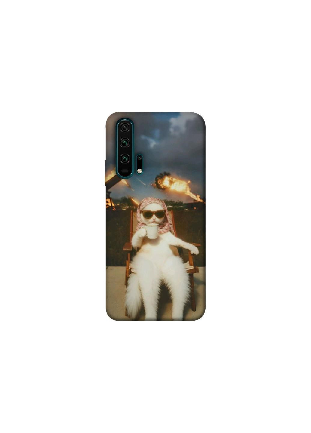 Чехол на Huawei Honor 20 Pro cat explosion Frontalka (356081889)