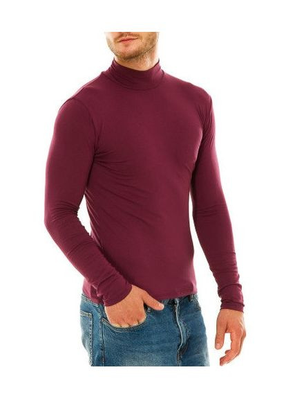 Водолазка гольф чоловічий однотонний класичний з коміром стійка демісезонний віскоза темно сливовий Leliss (317848286)