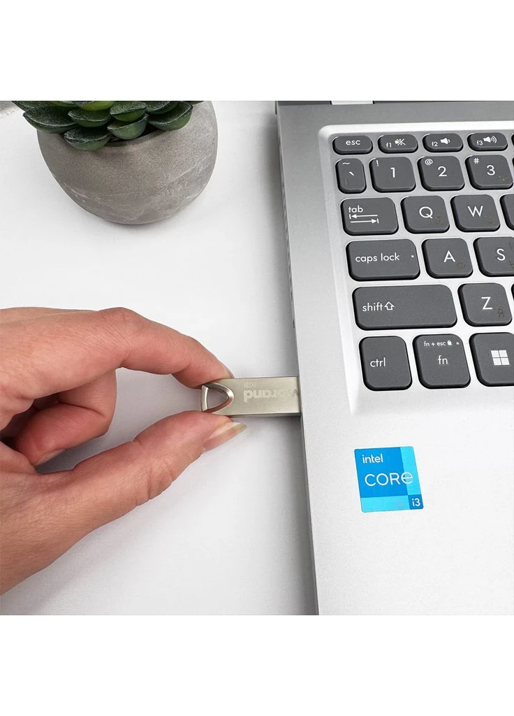 Флеш-накопитель USB 2.0 Taipan 8Gb Silver Wibrand (366082390)