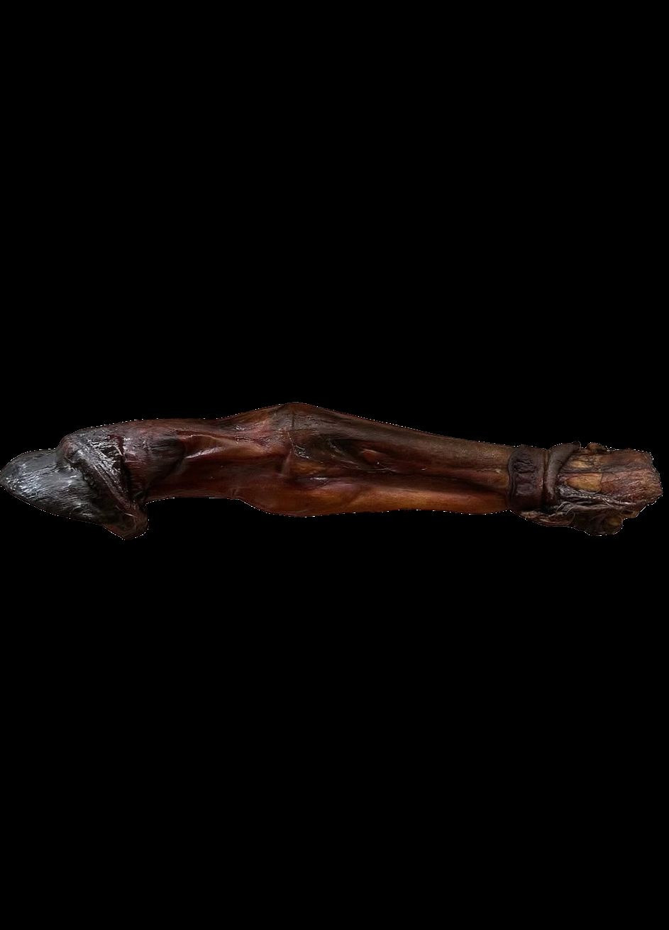 Натуральні ласощі для собак сушена нога коня довга " " (Бетховен) 1 шт. Bethowen (328272427)