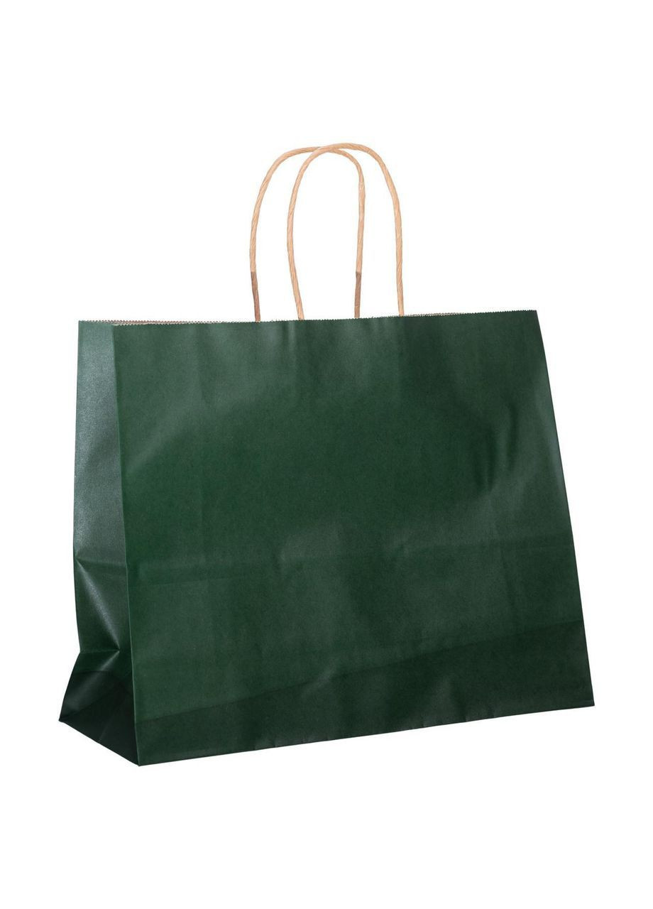 Набір подарункових крафтових пакетів з паперу 12 (шт.) гарні пакети для подарунків 31×12×25 (см) Зелений HP-10359-2GR No Brand (369478021)