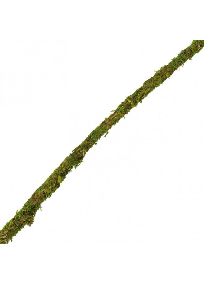 Ліана з натуральним мохом 1см x 2м (RV0210) Repti-Zoo (363452809)