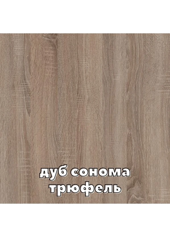 Шафа-купе дводверна Алекса 160*70*190 см Дуб Сонома трюфель Дзеркало/Дзеркало з піскострумним малюнком Алекса (394083784)