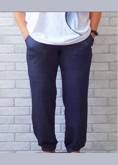 Чоловічі літні штани джоггери сині з вишивкою No Brand (330253383)