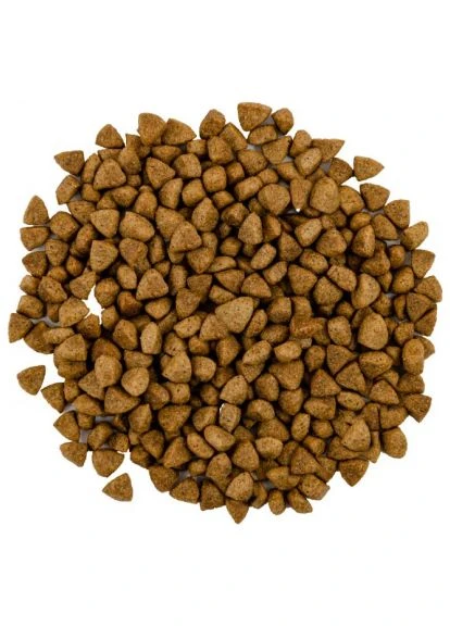 Сухий корм для кішок Adult Cat Steril Fresh Lamb and Chicken 400 г (4820232630105) Savory Adult Cat Steril Fresh Lamb and Chicken 400 г (401808110)