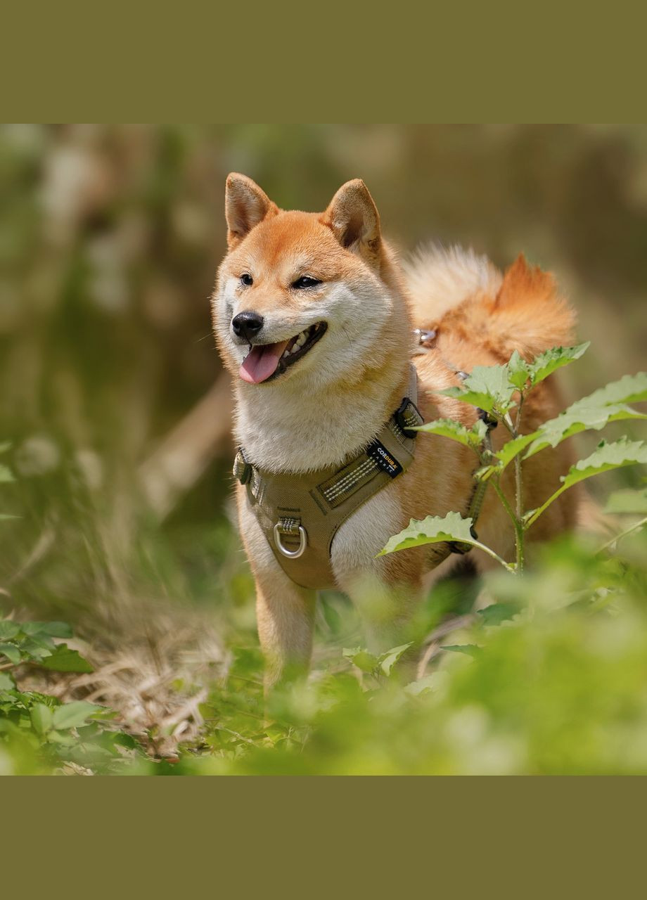 Шлея для собак TLH6282 из водонепроницаемой ткани Cordura, светоотражающая, Хаки M Truelove (308862970)