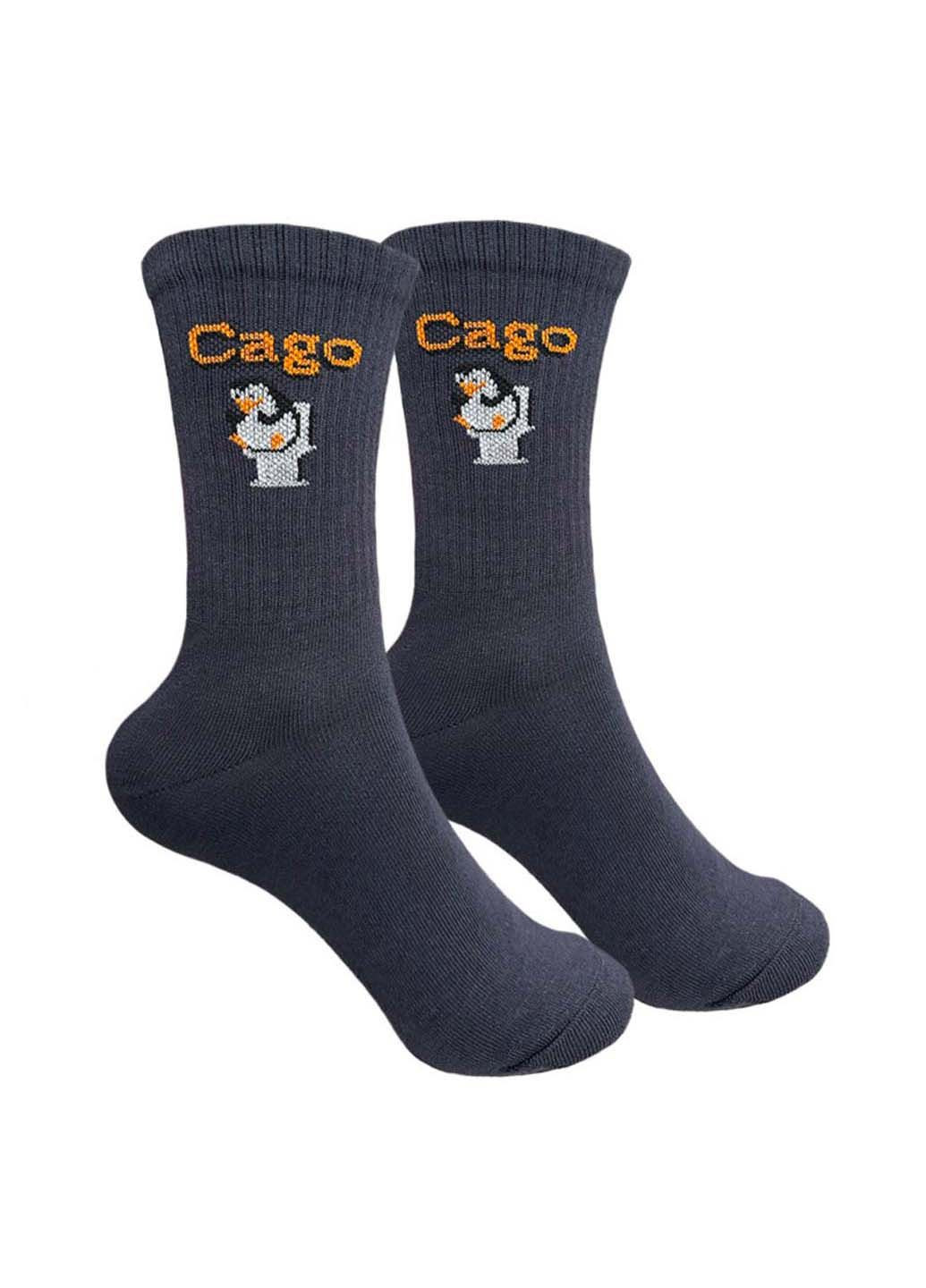 Комбіновані шкарпетки жіночі 1and1 (348467241)