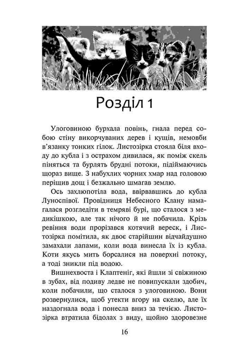 Книга Коти – воїни. Доля Небесного Клану. Спеціальне видання (українською мовою) АССА (322123509)