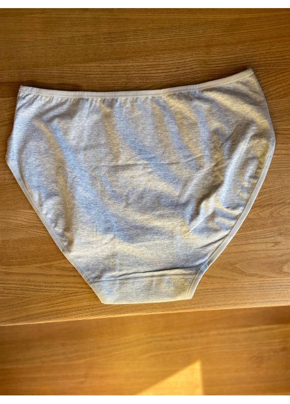 Однотонные трусы из натурального хлопка с высокой посадкой Beisdanna Сліп (361665823)