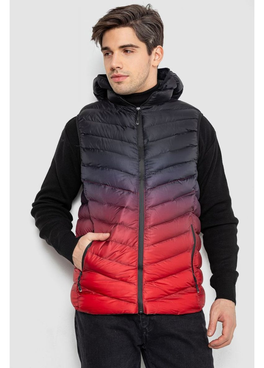 Жилетка мужская демисезонная, 244RC888 Ager (364754363)