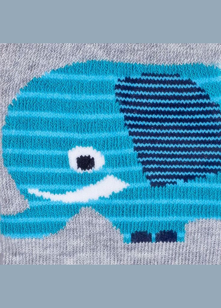 Колготки Coccodrillo (294914237)