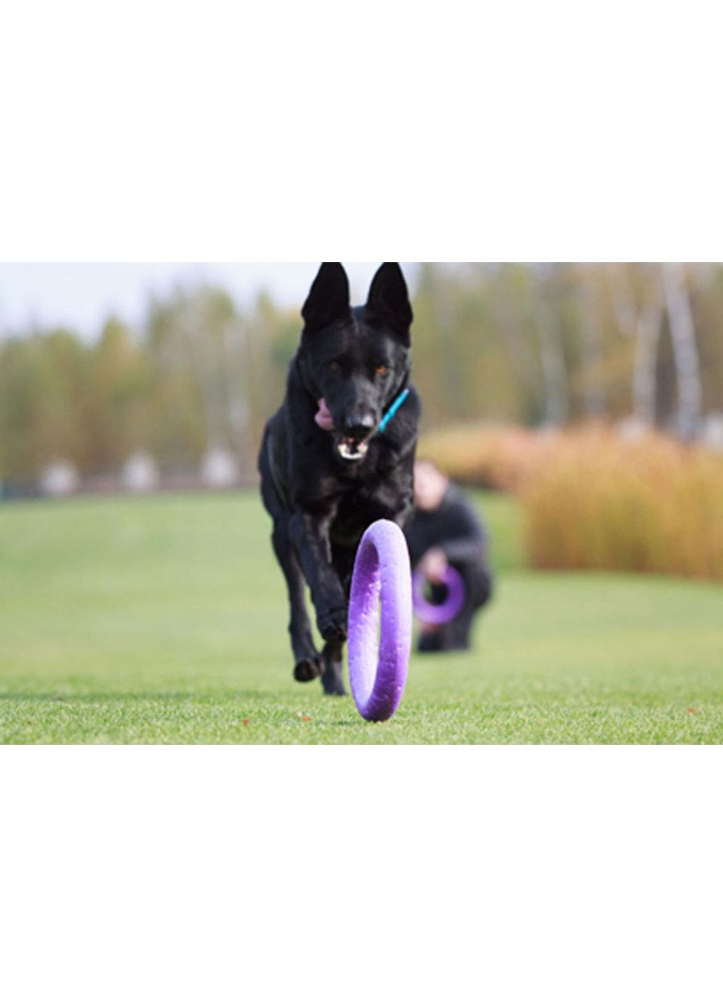 Тренувальний снаряд для собак PULLER 28 см Collar (362136512)