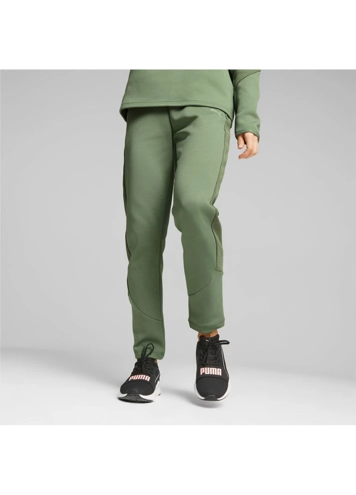 Штани Evostripe Green 676075-44 Puma (398076989)