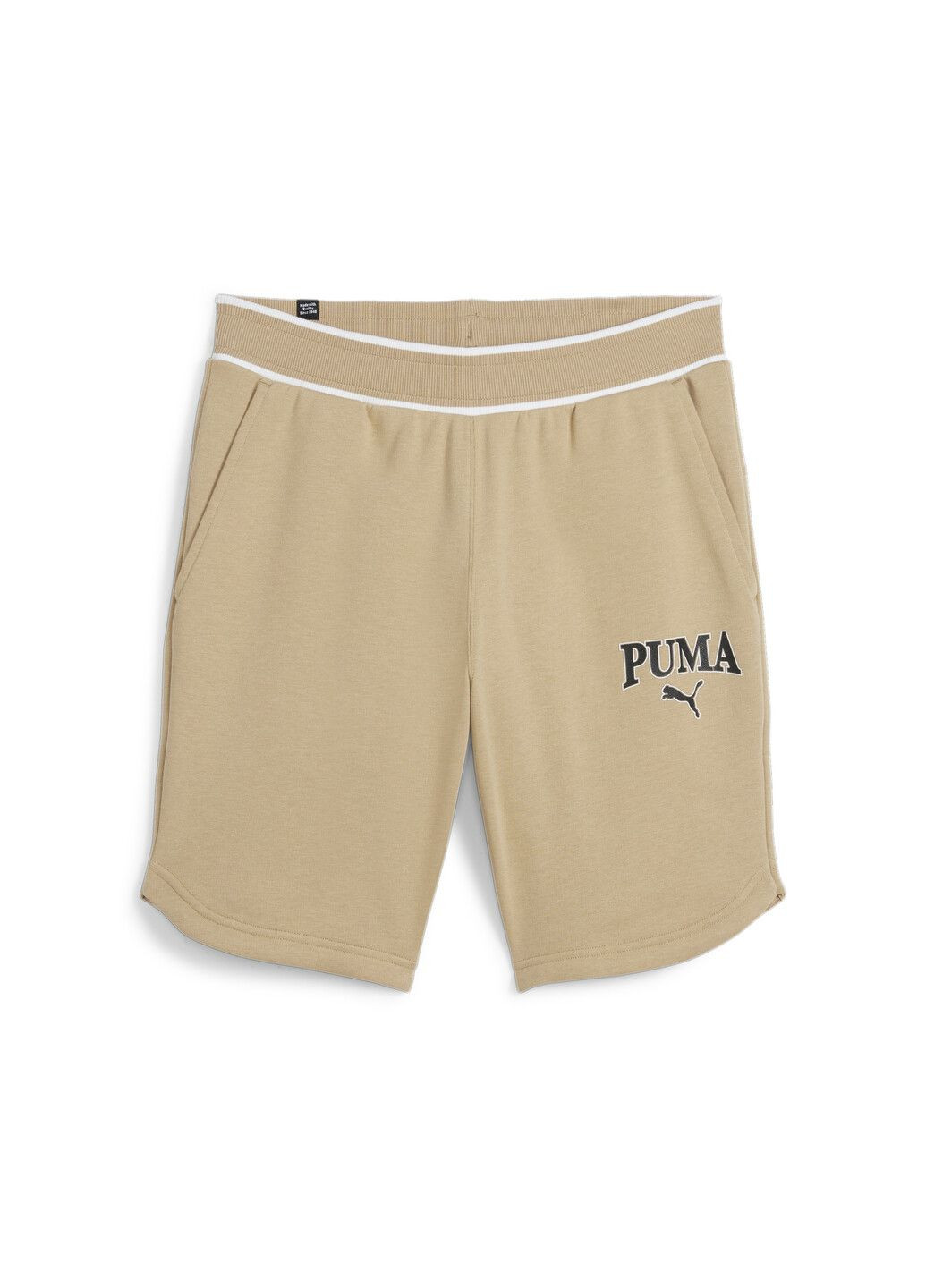 Шорты SQUAD Shorts Puma (282829340)