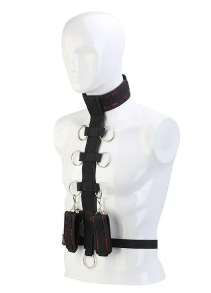 Ограничитель для тела Blaze Deluxe Collar Body Restraint CherryLove Dreamtoys (282710851)