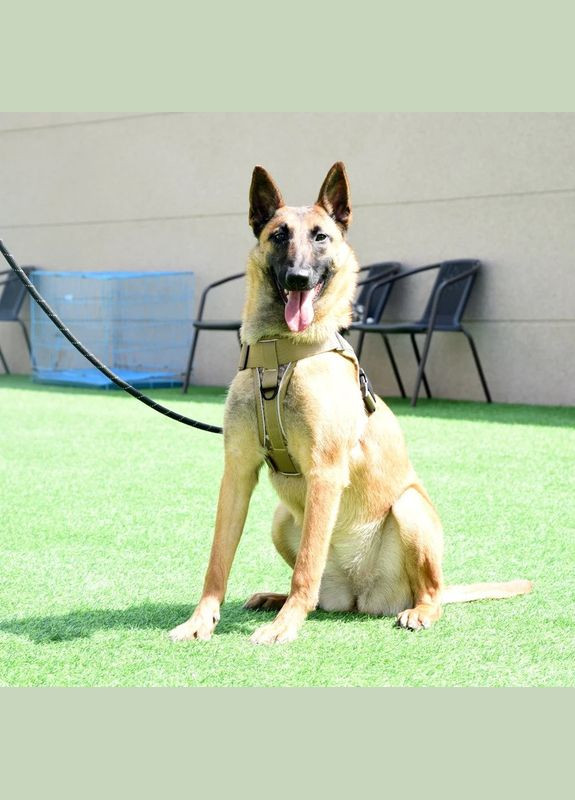 Шлея для собак, тактический жилет с ручкой, Черный Пиксель S (40-50см) Hong (299915565)