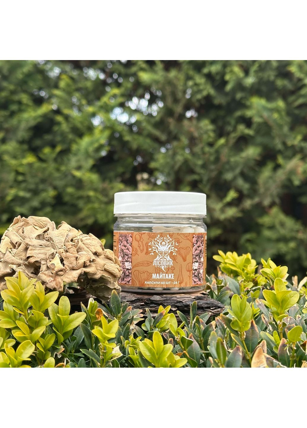 Гриб Майтаке, капсули 60 шт по 0.4 г Лісовик (334293114)