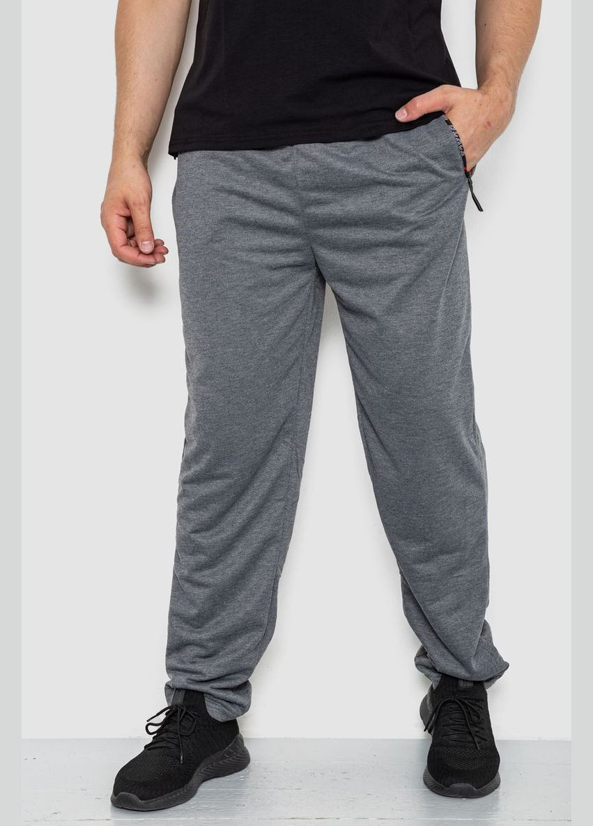 Серые спортивные демисезонные брюки Ager