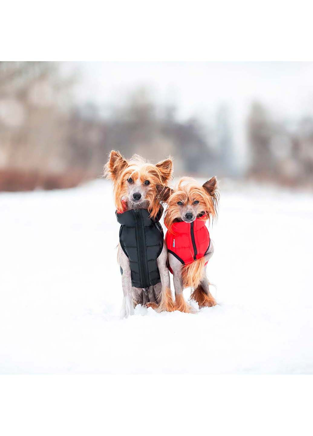 Куртка двостороння Airy Vest (308202772)