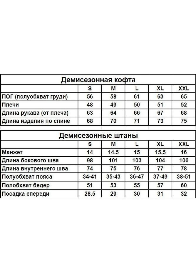 Чоловічий демісезонний спортивний костюм чорна кофта на змійці + штани (двонитка) No Brand (370050708)