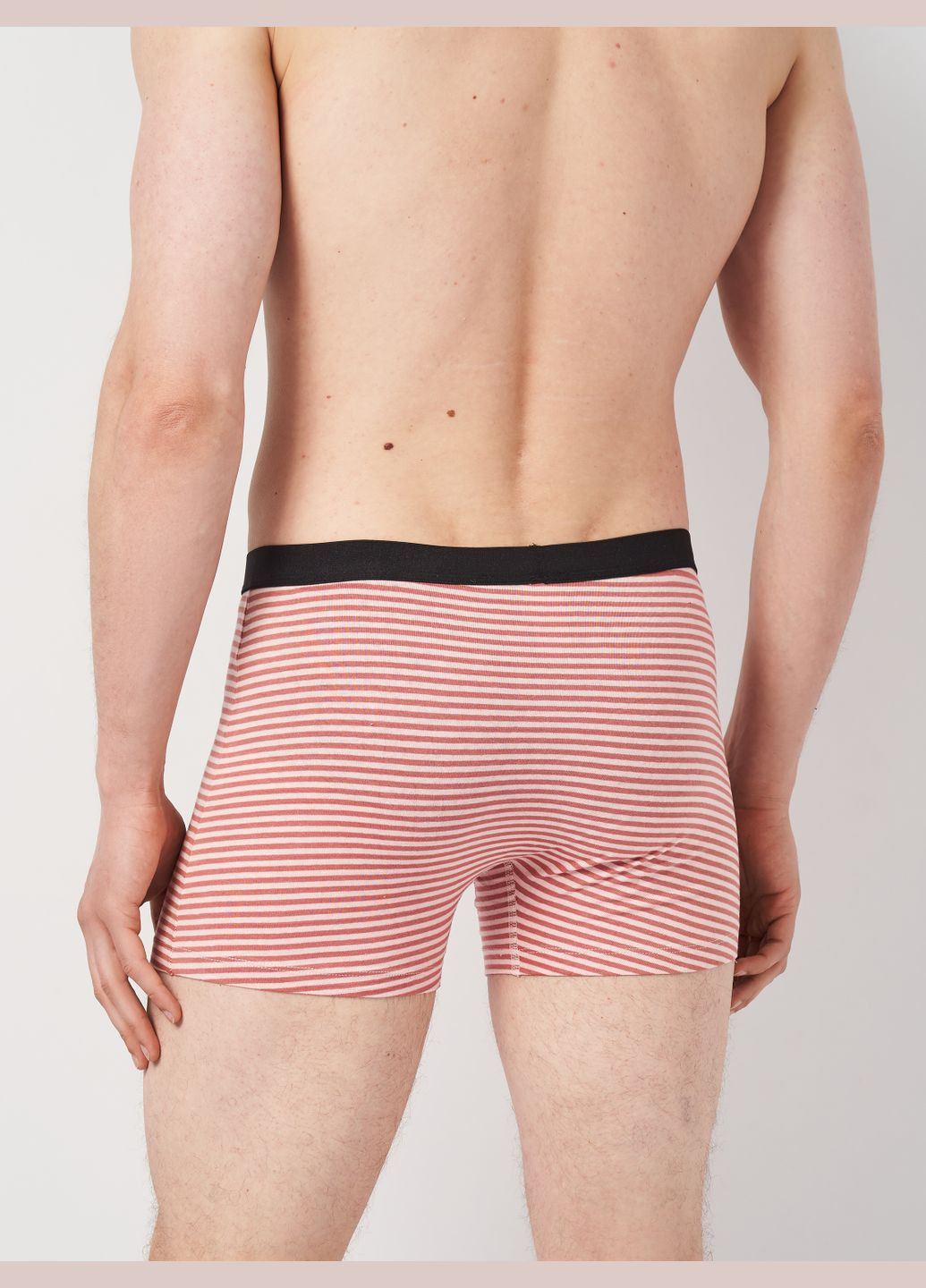 Трусы (3шт) Basic Collection (315007356)