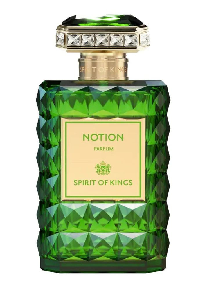 Notion 100 мл Духи Spirit Of Kings (370853589)