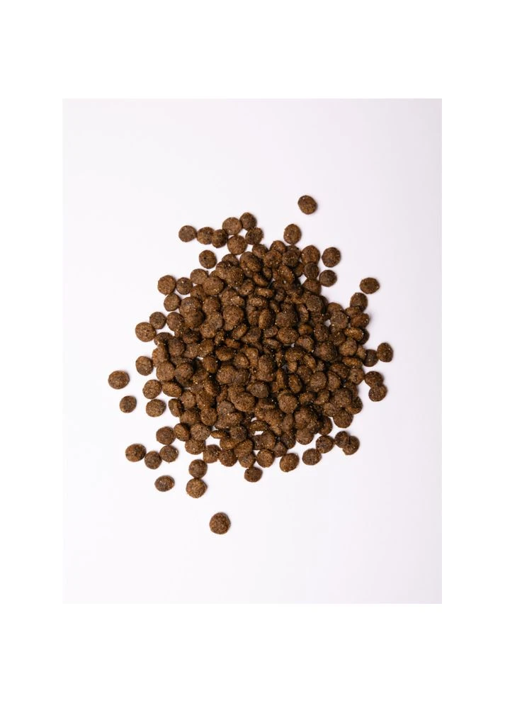 Корм сухой Small Breeddult in Fresh Turkey and Lamb для взрослых собак малых пород до 10 кг со свежим ягненком и индюч Savory (388399063)