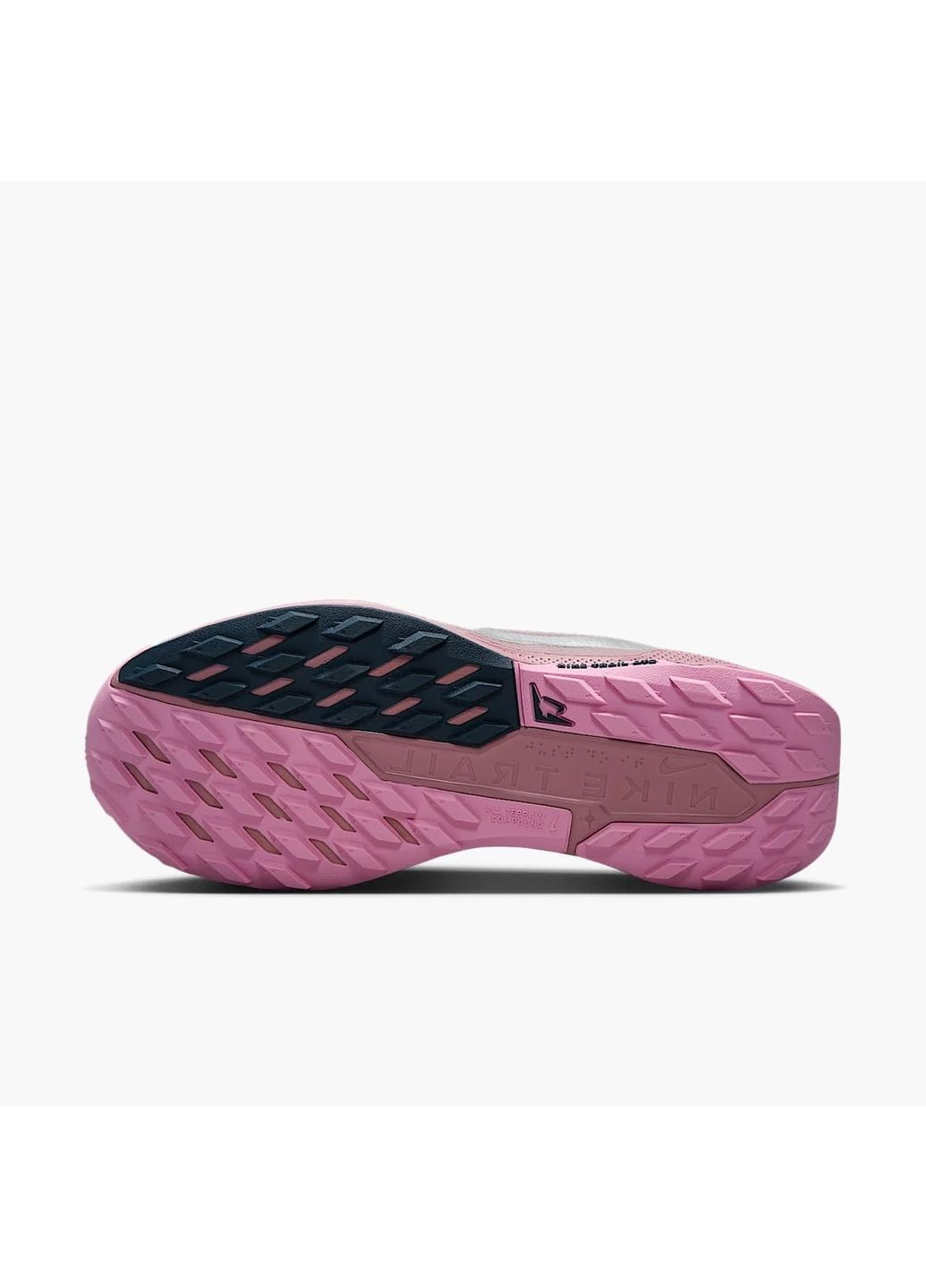 Кросівки жіночі Pegasus Trail 5 Gtx Pink/Violet DV3865-500 Nike рожеві (364836402)