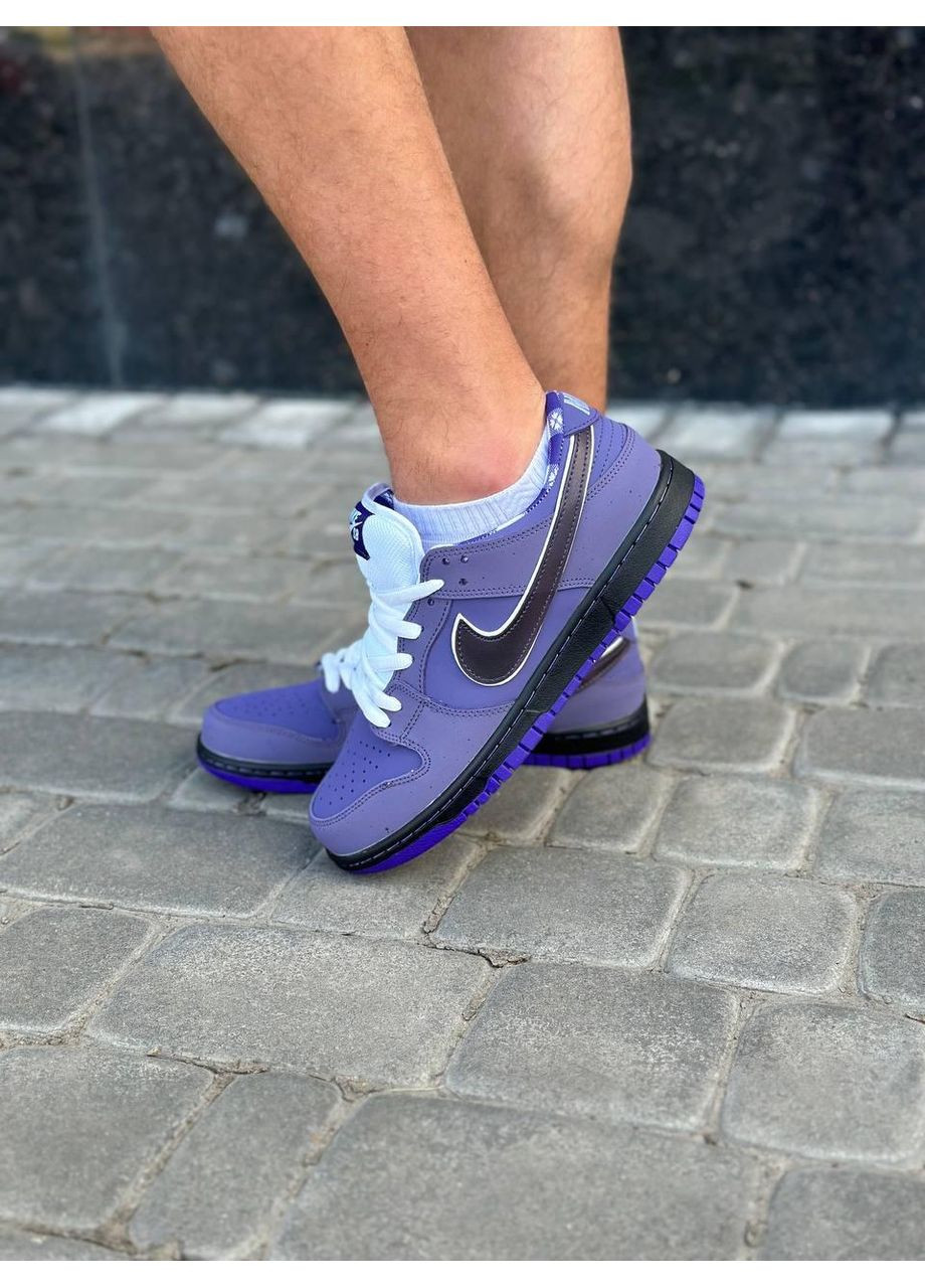 Фіолетові Осінні кросівки чоловічі nike sb dunk low concepts purple lobster найк сб данк No Brand