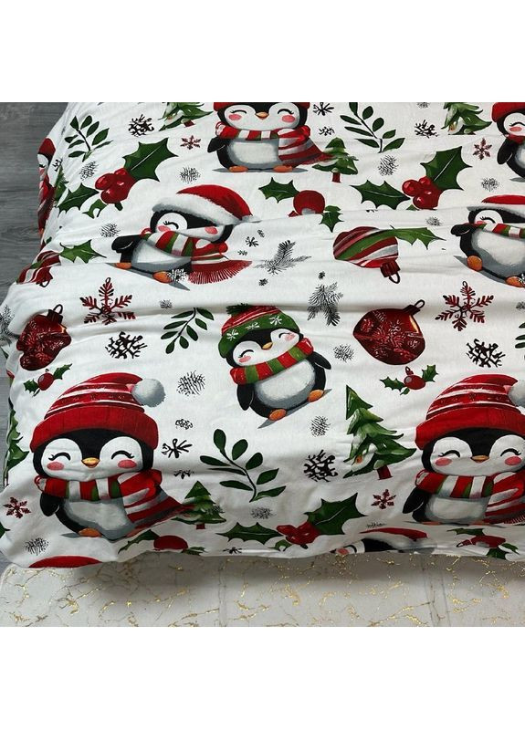 Зимова постільна білизна фланель (байка) двоспальний розмір білого кольору - м'якість, тепло та новорічний настрій! No Brand (370278908)