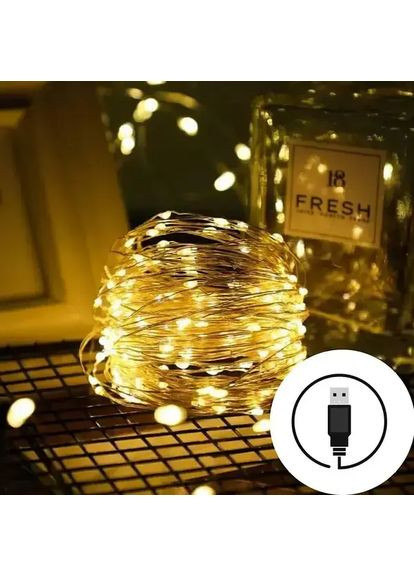 Гирлянда нить USB светодиодная для дома Роса Теплый белый 10 м Asics (363831492)