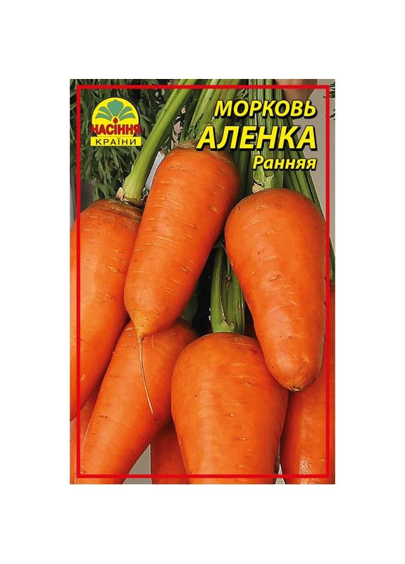 Семена моркови Алёнка 0,5 кг () Насіння країни (299897695)