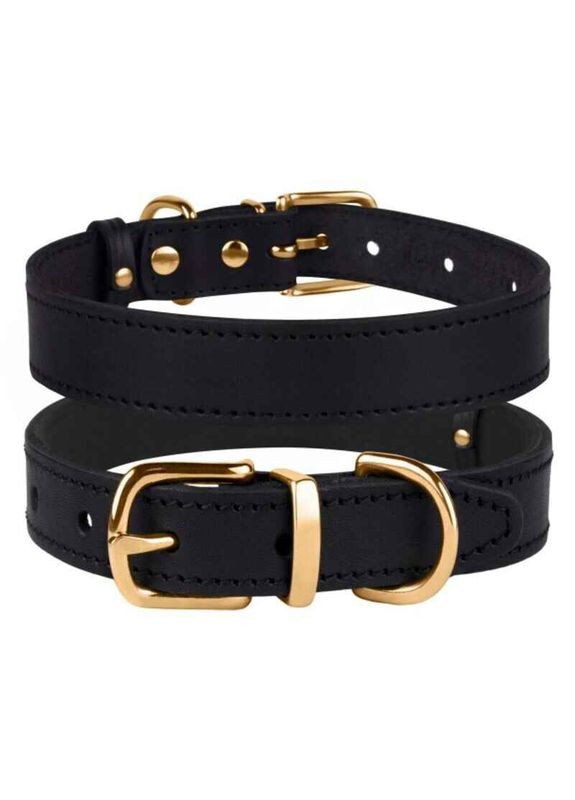 Нашийник для собак шкіряний з литою латунною фурнітурою Dog Collar Classic 2,5х38-48 см (2800000005931) BronzeDog (336182963)